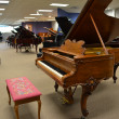 1905 Steinway Louis XV model B grand piano - Grand Pianos